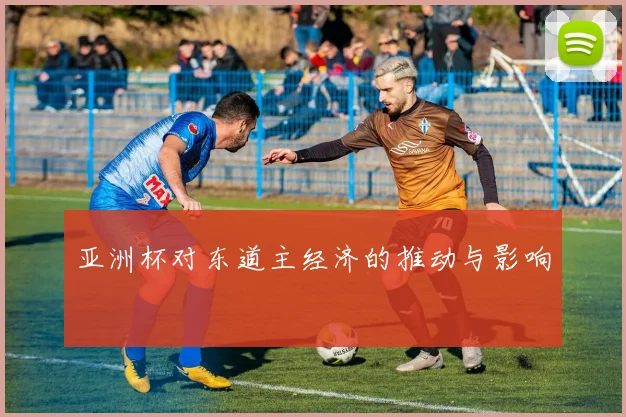 亚洲杯对东道主经济的推动与影响