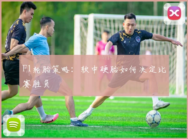 F1轮胎策略：软中硬胎如何决定比赛胜负